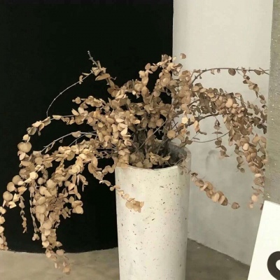 Furry绘画构图技巧FurryQQ群